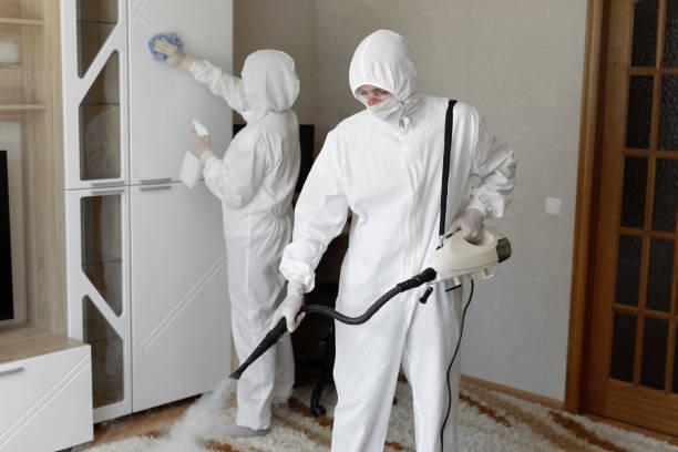 Best Post-Flood Mold Remediation in Iowa Park, TX